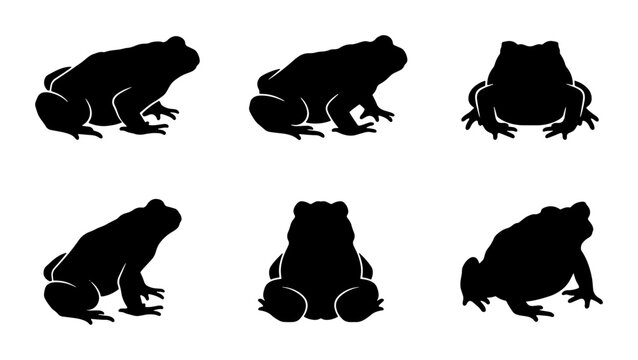 Frog Silhouettes Set, Amphibian Vector Icons, Wildlife Animal Graphics, Nature Element Collection