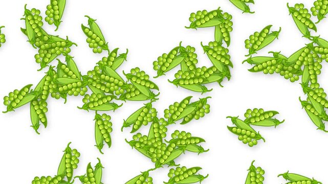 Falling Green Pea Pods Animation on a Clean White Background