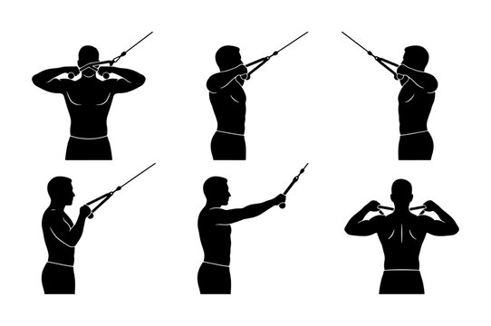 Fitness Exercise Silhouettes: TRX Training, Bodyweight Workout, Strength Training Poses