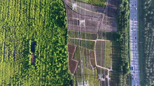 Aerial view reveals dense green forests. Fields feature different crop patterns