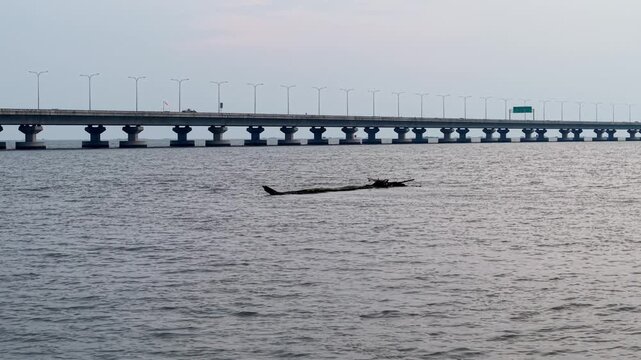 A long modern Penang Second Bridge supported by multiple pillars spans across calm water beneath a soft and clear sky