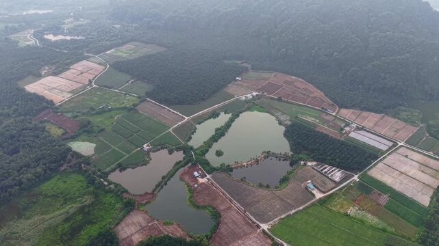 Aerial view captures farmland and ponds. Green fields and water bodies fill the scene at Kampar, Perak
