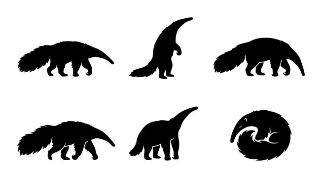 Anteater Silhouettes Collection, Six Diverse Poses, Black Vector Graphics for Wildlife Design