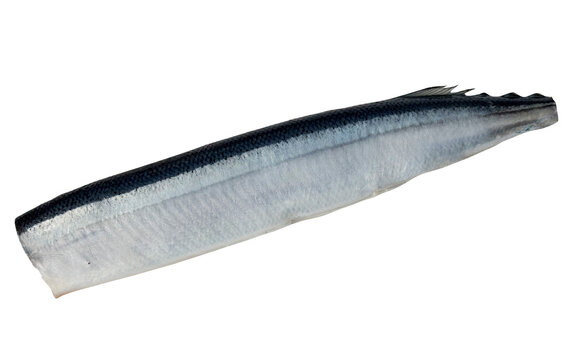 サンマ 頭を落とした生の切り身の切り抜き 秋刀魚 魚介海鮮食材素材