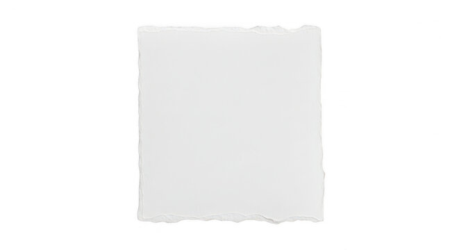 Square piece of white paper with torn rough edges isolated on transparent background