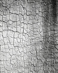 Fototapeta premium Large cracked paint texture with transparent background, distressed peeling surface overlay for grunge effects, photo editing, digital art and creative design projects.