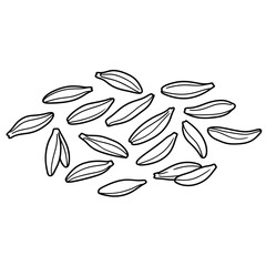 Obraz premium cumin seeds whole spice line art vector illustration
