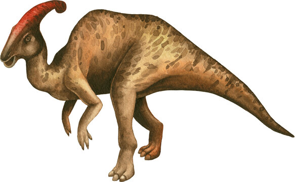 Illustrated Parasaurolophus Dinosaur with Crest Isolated