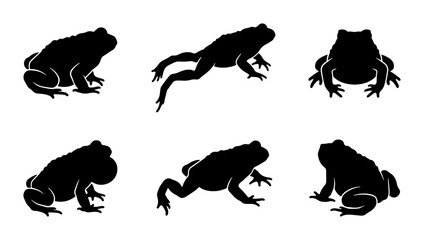 Obraz premium Six Black Frog Silhouettes, Amphibian Vector Icons, Wildlife Animal Graphics, Nature Elements