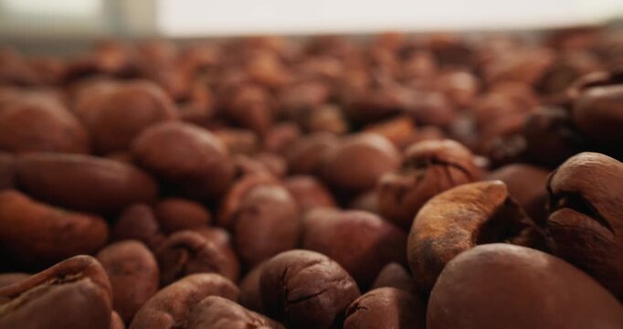Slow motion close up of roasted coffee beans shifting and settling on tabletop with shallow depth of field.