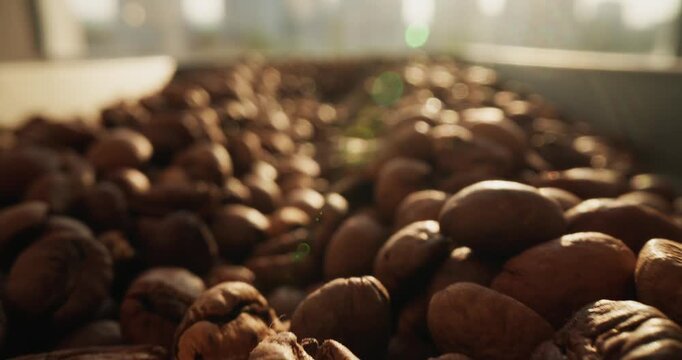 Slow motion roasted coffee beans shifting on metal roasting tray in sunlit roastery.