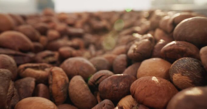 Tracking shot closeup of roasted coffee beans on countertop with shallow focus and soft bokeh.