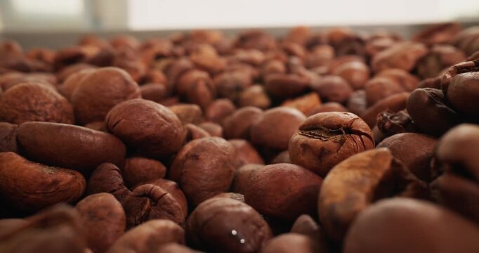 Slow tracking shot of roasted coffee beans shifting across tabletop surface in kitchen with shallow focus dolly movement.