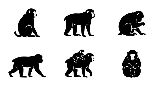 Monkey Silhouettes, Primate Poses, Animal Icons, Mammal Vector Set, Wildlife Graphics