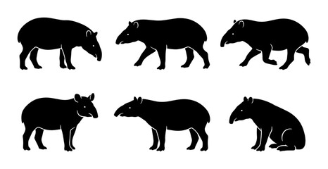 Fototapeta premium Six Black Tapir Silhouettes, Vector Graphics, Wildlife Animal Poses, Mammal Icons