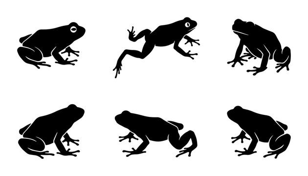 Six Black Frog Silhouettes, Amphibian Vector Icons, Wildlife Animal Graphics
