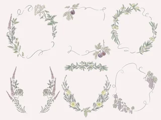 Watercolor Mediterranean Botanical Frames, Borders and Decorative Elements Set © miobuono