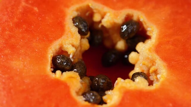 Close-up of ripe papaya flesh and glossy black seeds, showcasing the vibrant orange color and natural texture of this tropical fruit. Rich in vitamins, antioxidants, and dietary fiber, the image is id