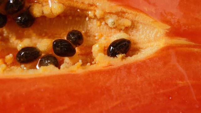 Close-up of ripe papaya flesh and glossy black seeds, showcasing the vibrant orange color and natural texture of this tropical fruit. Rich in vitamins, antioxidants, and dietary fiber, the image is id