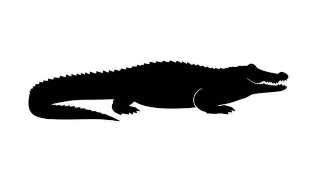 American alligator silhouette. Black reptile icon isolated on a white background.