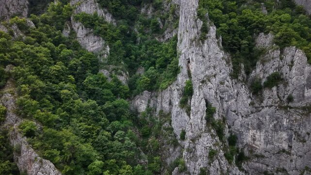 A detailed high-angle view shows steep gray limestone cliffs densely covered with vibrant green deciduous trees in a wild mountain range.