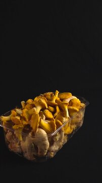 Raw yellow chanterelle mushrooms, also known as Cantharellus cibarius, slowly turning in a transparent plastic container on a dark, elegant background, ready for cooking a gourmet dish