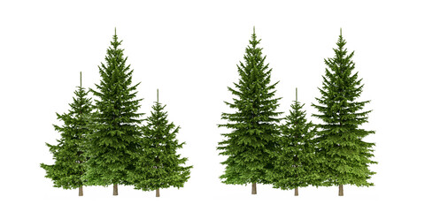 Obraz premium Set of green pine trees isolated on transparent background