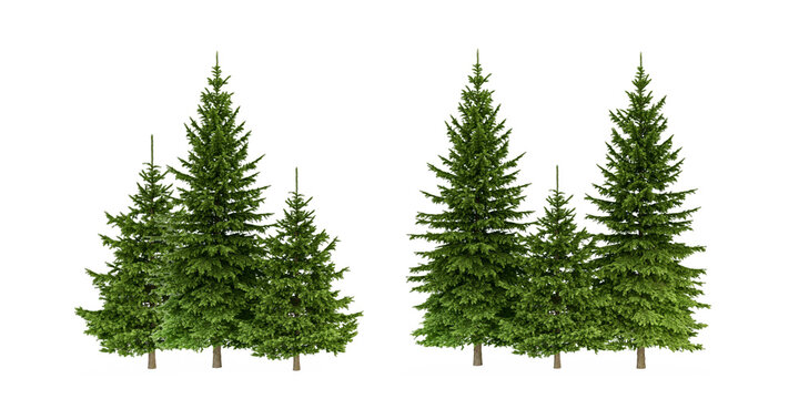 Set of green pine trees isolated on transparent background