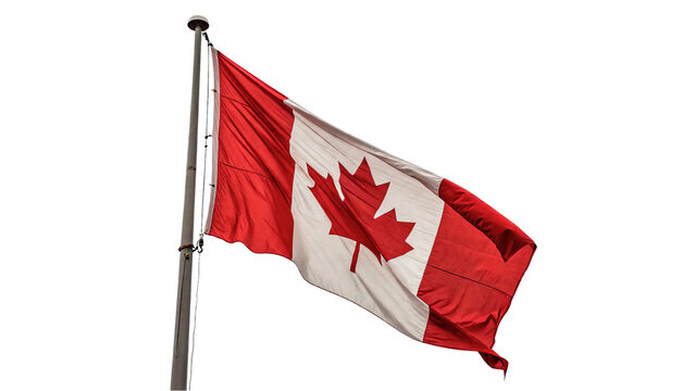 National flag of Canada waving isolated on transparent background for patriotic concepts