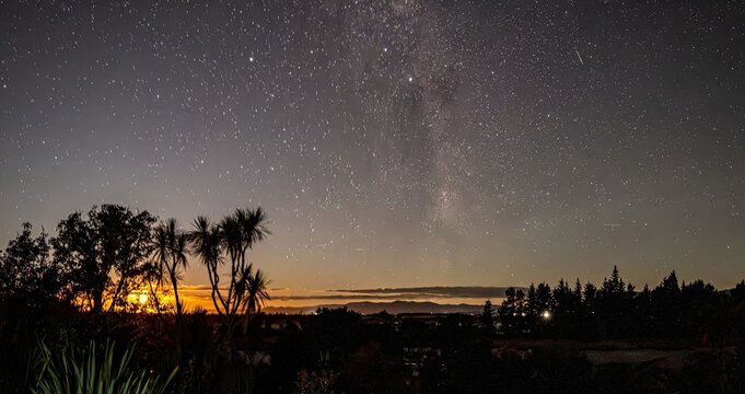 Cordyline australis, Neuseeland Cabbage Tree bei Nacht unter der Milchstra&szlig;e, Golden Bay, Tasman Region, Neuseeland. Astronomische Nachtaufnahme mit Silhouette heimischer Pflanzen bei D&auml;mmerung.