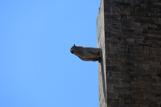 Gargoyle of the Basilica of Santa Maria del Mar in Barcelona, Spain   