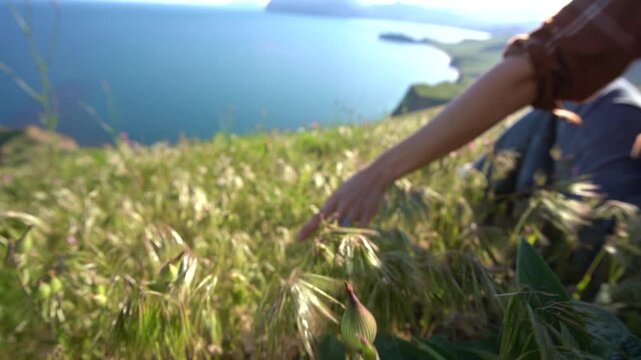 Woman hand nature, woman touching grass on a mountain cliff overlooking the deep blue sea during a peaceful summer afternoon