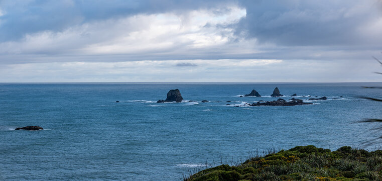 Cape Foulwind, Westport, West Coast, Neuseeland, Phormium tenax. Felsformationen im Tasmansee bei Tauranga Bay an der Kueste der Suedinsel.