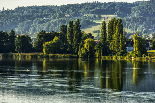 Poplar trees and forest reflections along the Rhine River near