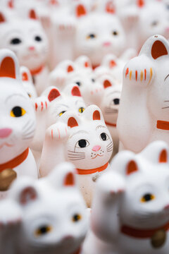 Rows of White Lucky Cat Statues in Japan