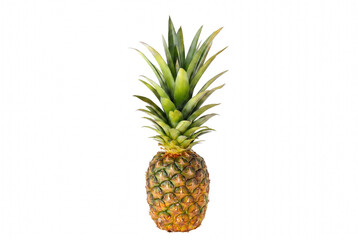 Fototapeta premium Whole ripe pineapple with lush green leaves on dark surface