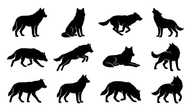 Wolf Silhouette Collection Vector Set with Standing Running Howling and Sitting Animal Logo Shapes
