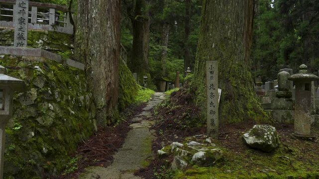UNESCO World Heritage Koyasan Okunoin Cemetery - Tomb of the Hojo Clan, Sengoku Period Daimyo, Koya, Wakayama, Japan　世界遺産・高野山 奥之院「戦国大名・北条家墓所」和歌山県高野町