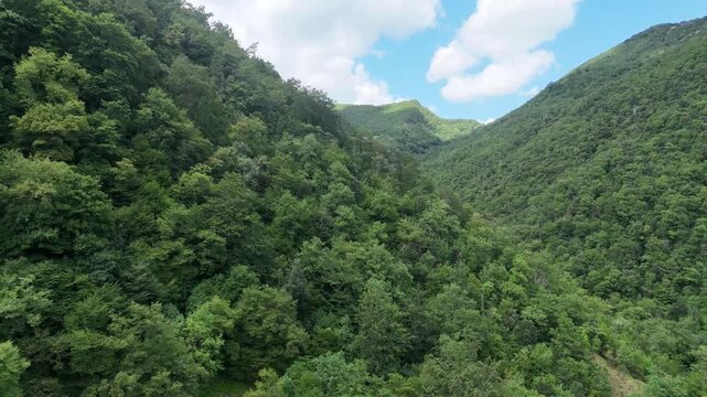 Valle montana verde con pendii ripidi ricoperti da foresta fitta e cielo parzialmente nuvoloso. Scena naturale ampia, luminosa e incontaminata.