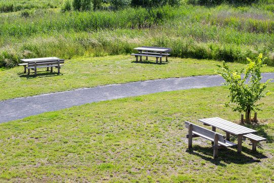 Outdoor park area featuring multiple wooden picnic tables on green grass with a winding pathway and surrounding tall grass and shrubs in a natural setting