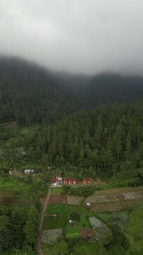 Aerial View of Remote Houses and Farms in Misty Mountain Forest