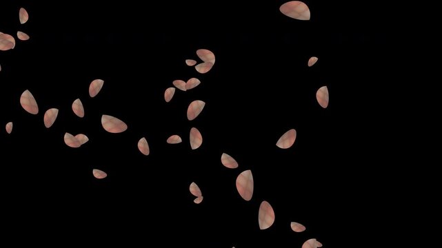 Falling leaves on transparent background, alpha channel