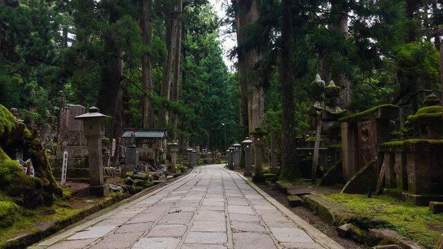 POV Walking Through the Sacred Forest Path of Okunoin, Koyasan, Wakayama, Japan 主観移動撮影 高野山「奥之院」和歌山県高野町