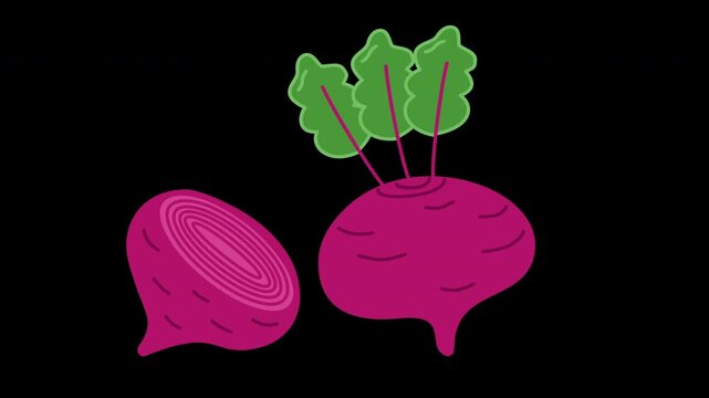 beetroot vegetable illustration