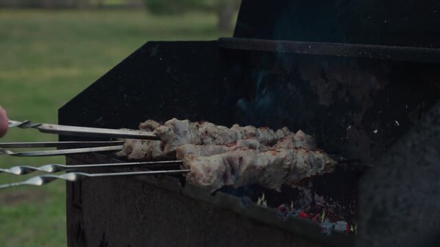 Fresh marinated meat grilling on metal skewers over hot charcoal and open flame