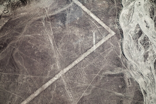 Aerial view of the Nazca Lines geoglyphs featuring ancient geometric patterns and animal figures etched into the arid desert landscape of Nazca Province, Ica, Peru.