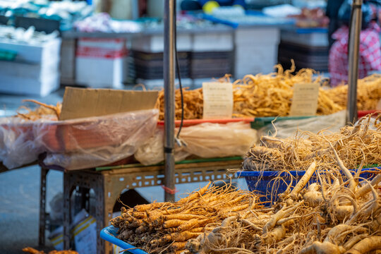 Fresh Korean ginseng roots with tangled rootlets displayed at traditional Gyeongdong herbal market in Seoul.