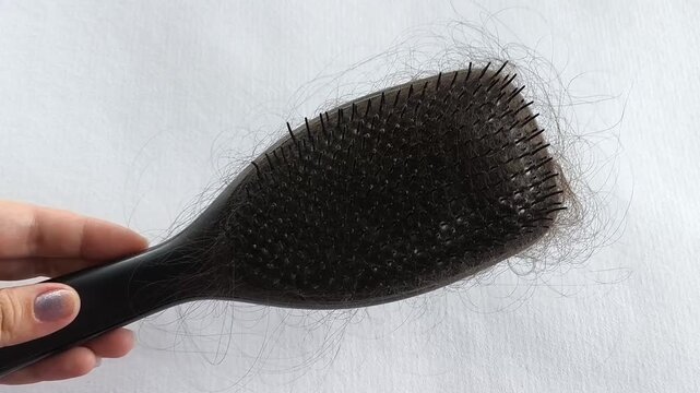 Hairbrush with fallen hair in woman's hand, excessive hair shedding, hair loss and alopecia concept.