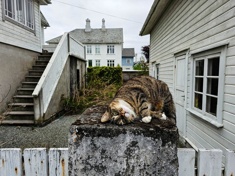 Stra&szlig;en und H&auml;user in der Altstadt von Bergen in Norwegen