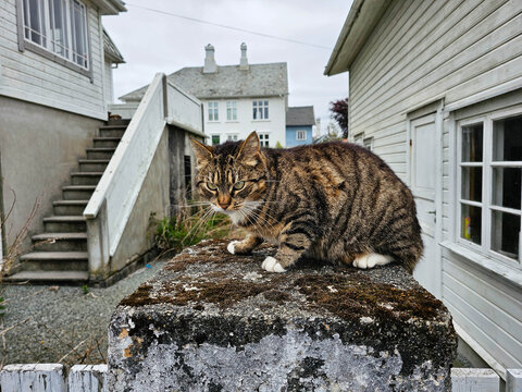 Stra&szlig;en und H&auml;user in der Altstadt von Bergen in Norwegen